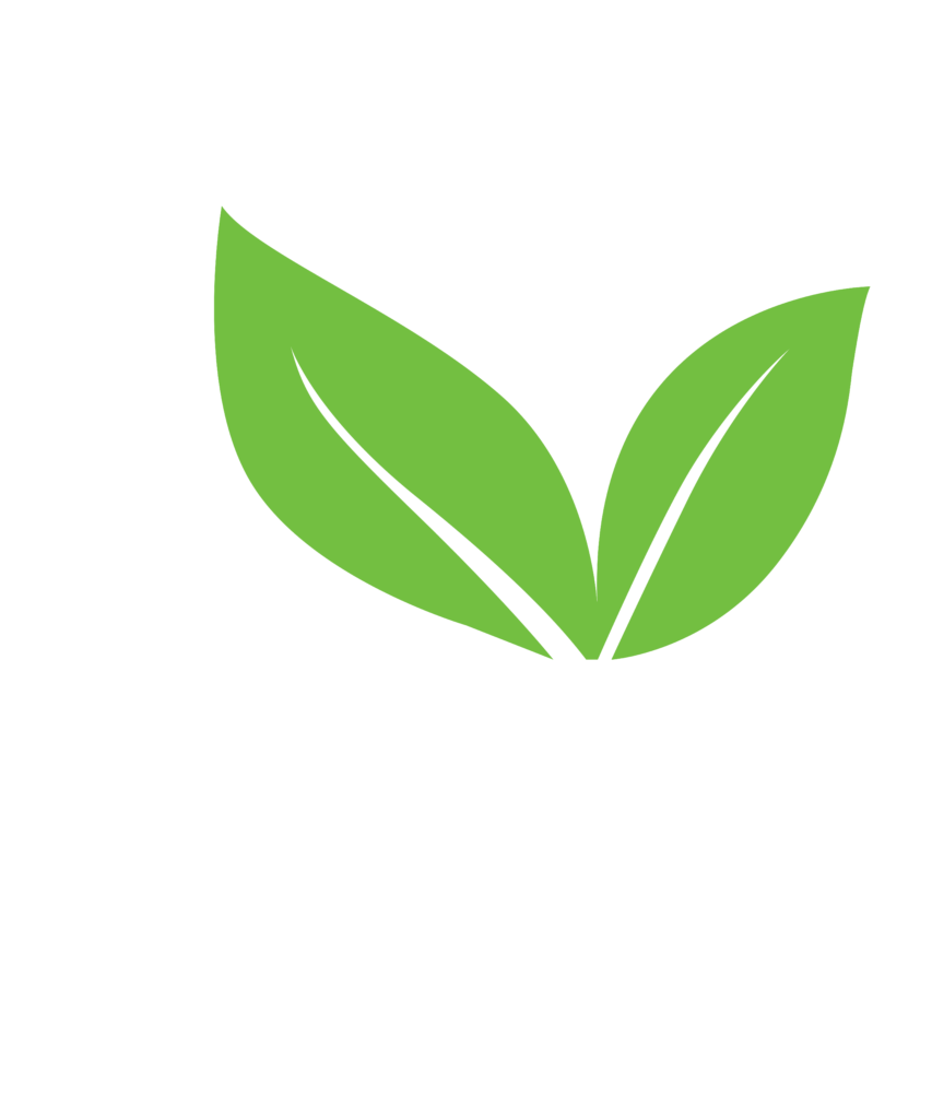 CÔNG TY TNHHH NTN ECO